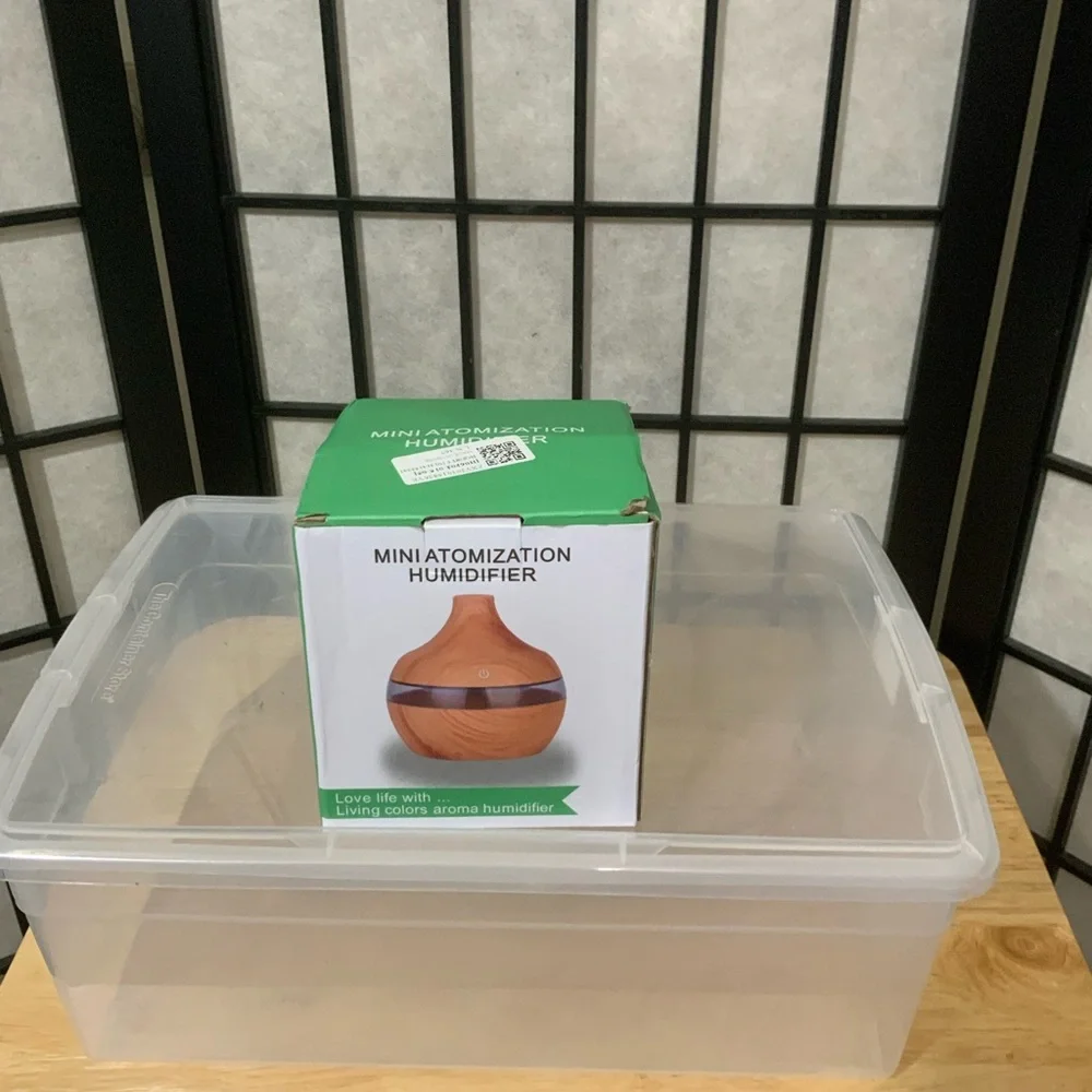 NWT Mini Humidifier Atomizer